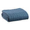 PLAID Swami sturm 130 x 200 cm - Blau, Textil (130/200cm) - Vivaraise