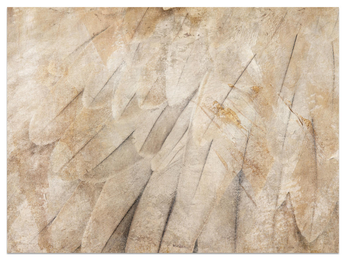 FOTOTAPETE Vogelflügel Beton Retro Stil 450x315 - Beige/Braun, Papier (450/315cm) - Muralo