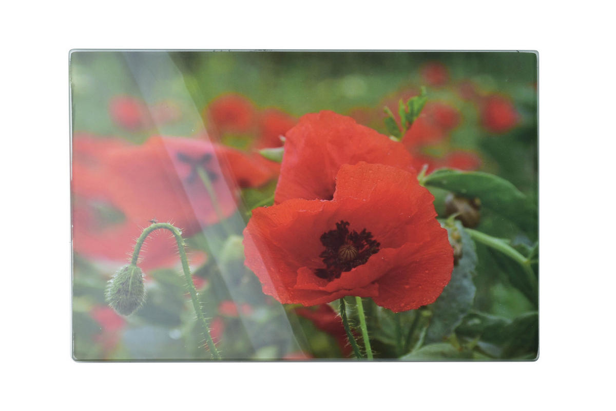 SCHNEIDEBRETT Aria Grün 30/20/2 cm Glas - Dunkelgrün, Glas (20/30cm) - Mondex