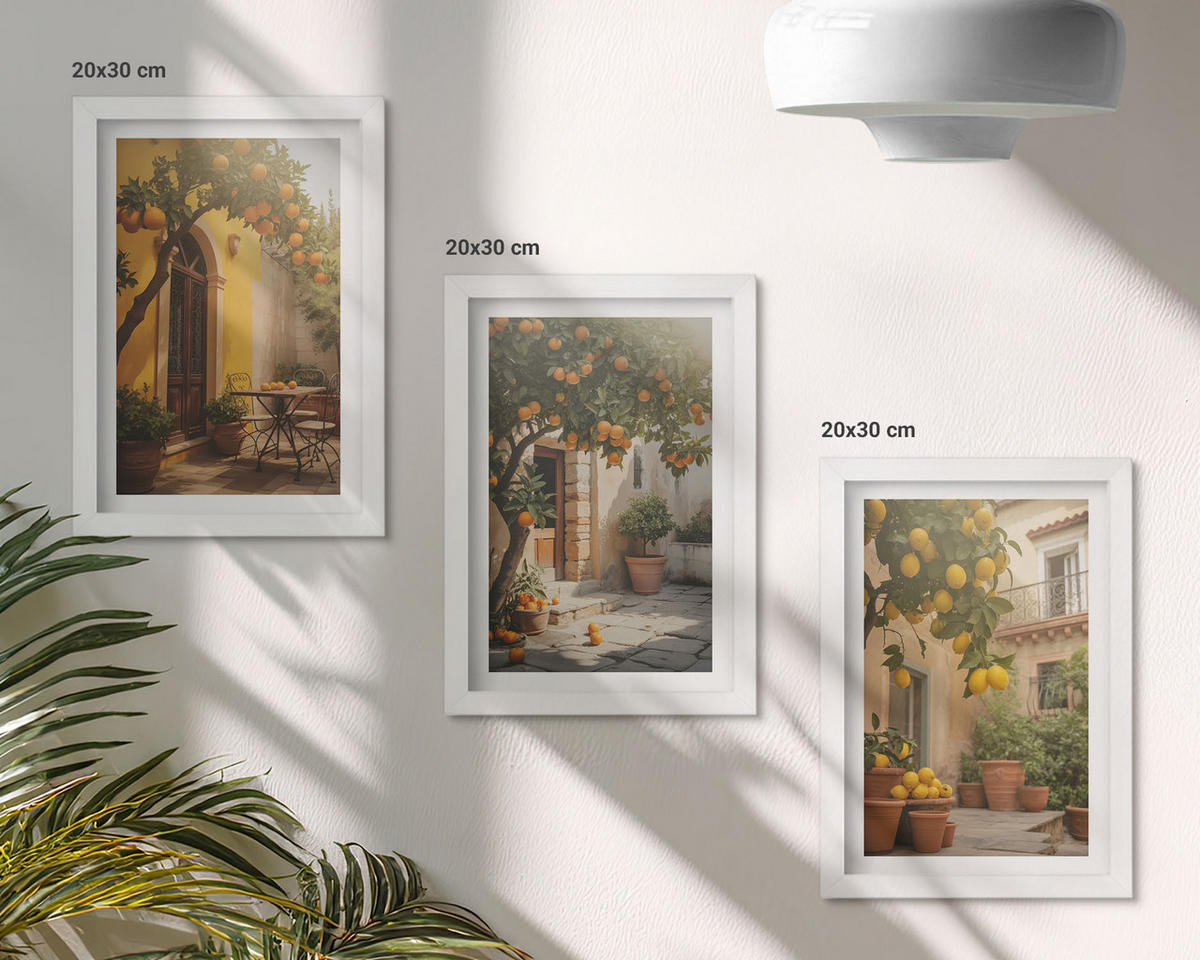 WANDBILDER 3er-Set - 20x30 cm Weißer Rahmen - Zitrustöpfe für sonnige Terrassen - Weiß, Kunststoff (20/30cm) - ArtPrintCave