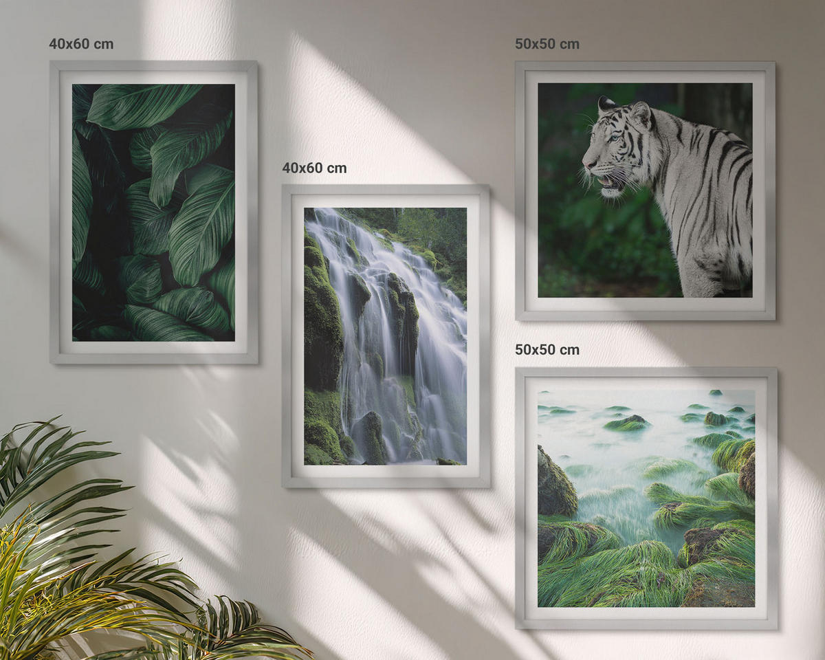 WANDBILDER 4er Set - 50x50 cm & 40x60 cm Silberner Rahmen - Blätter des Weißen Tigerwasserfalls - Silberfarben, Kunststoff (50/50cm) - ArtPrintCave
