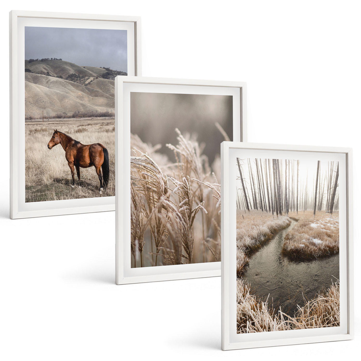 BILDER SET 3er Set - 40x60 cm Weißer Rahmen - Pferde, Landschaft, Gras, Bach - Weiß, Kunststoff (40/60cm) - TULUP