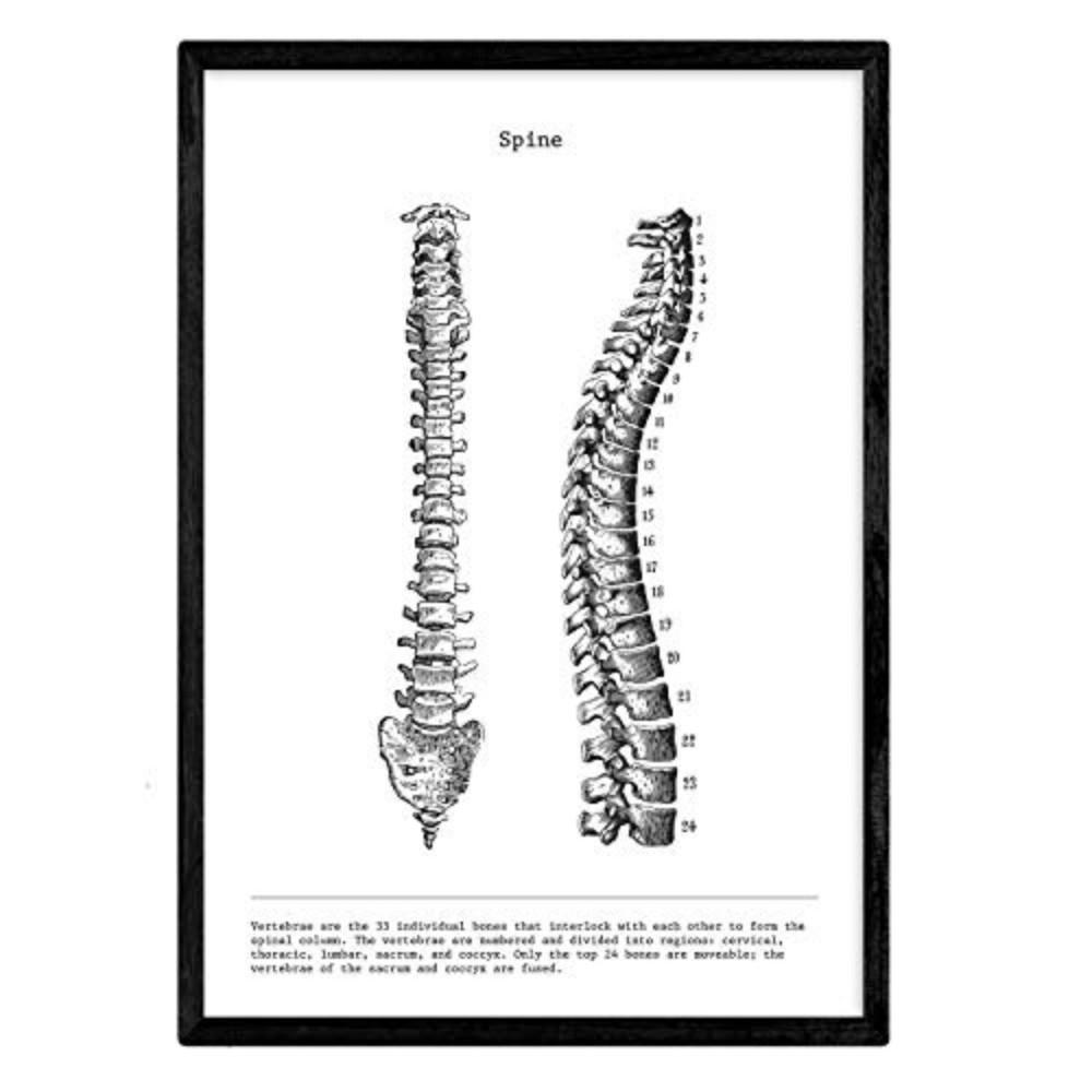 Nacnic Poster Schwarz 29.7x5x42 cm