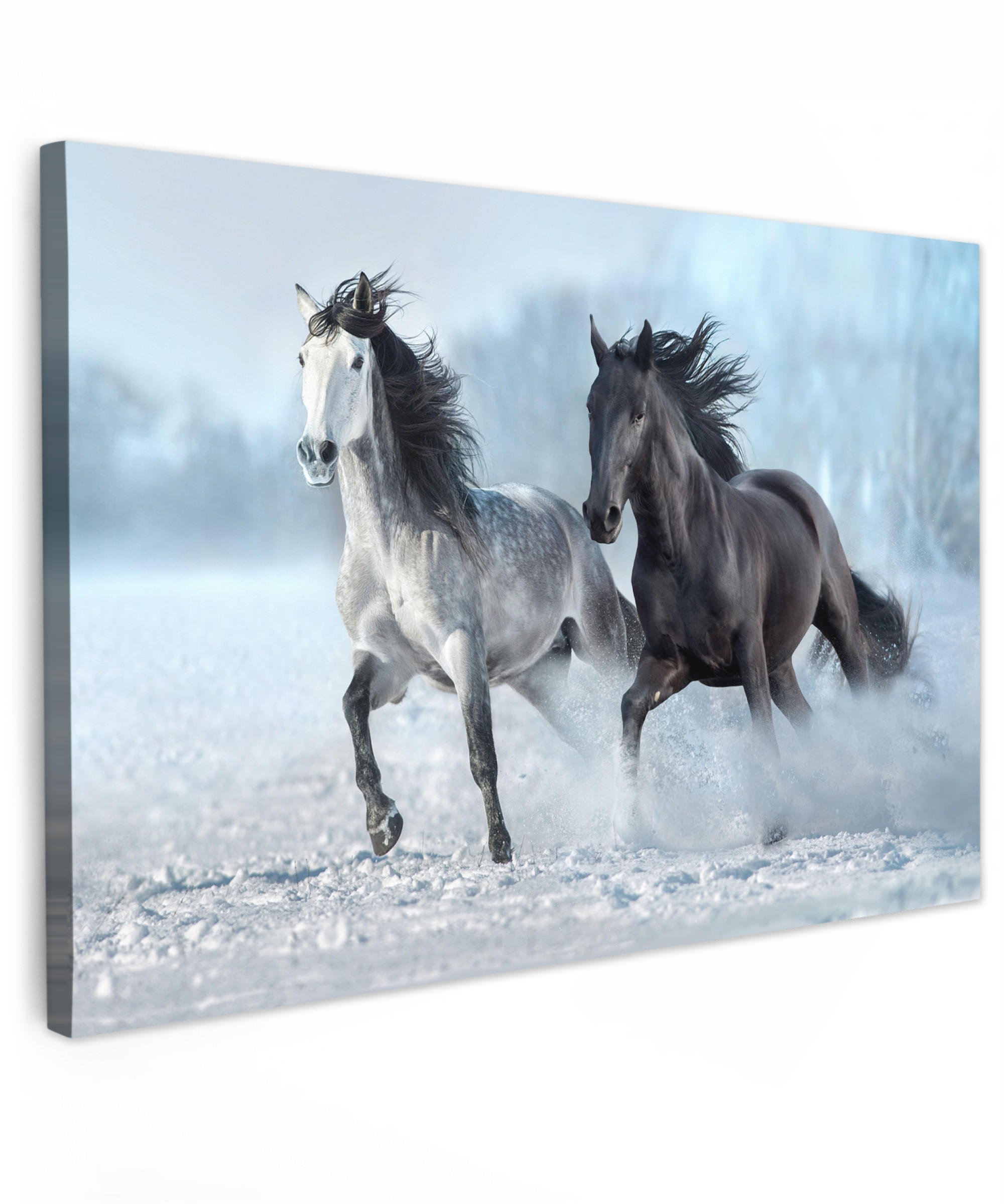 LEINWANDBILD Pferde - Winter - Tiere - Natur - Schnee XXL 150x100 cm - Anthrazit, Textil (150/100cm) - MuchoWow