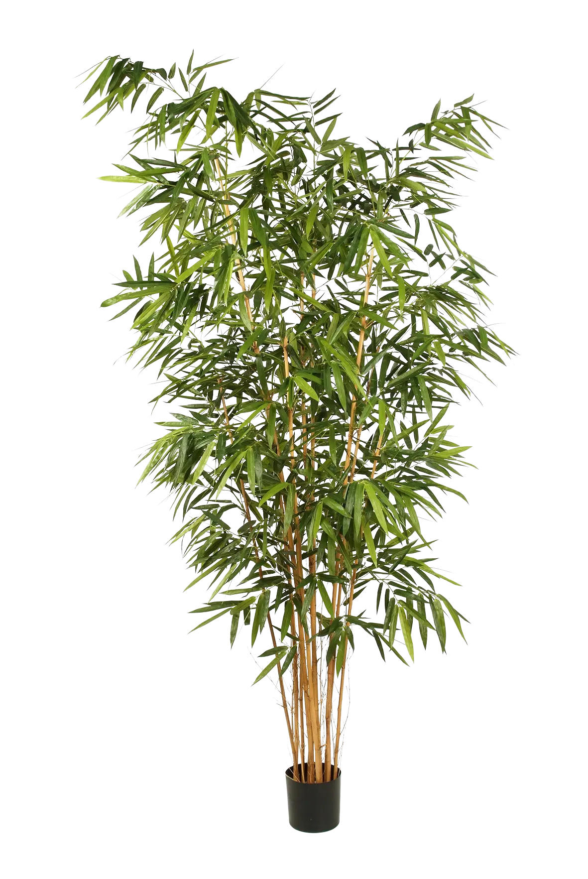 aplanta Künstlicher Grün 240 cm