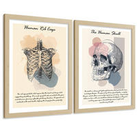POSTER Set aus 2 Anatomie Mensch Lernposter Drucke und Wandbilder mit Skelett Rippen und Schädel Klinik Büro Dekoration Größe Rahmenlos A3 - Klar, Papier (29.7/42/3cm) - Nacnic
