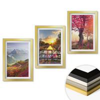 WANDBILDER 3er Set - 20x30 cm Goldrahmen - Berglandschaften mit dem Fahrrad - Goldfarben, Kunststoff (20/30cm) - ArtPrintCave