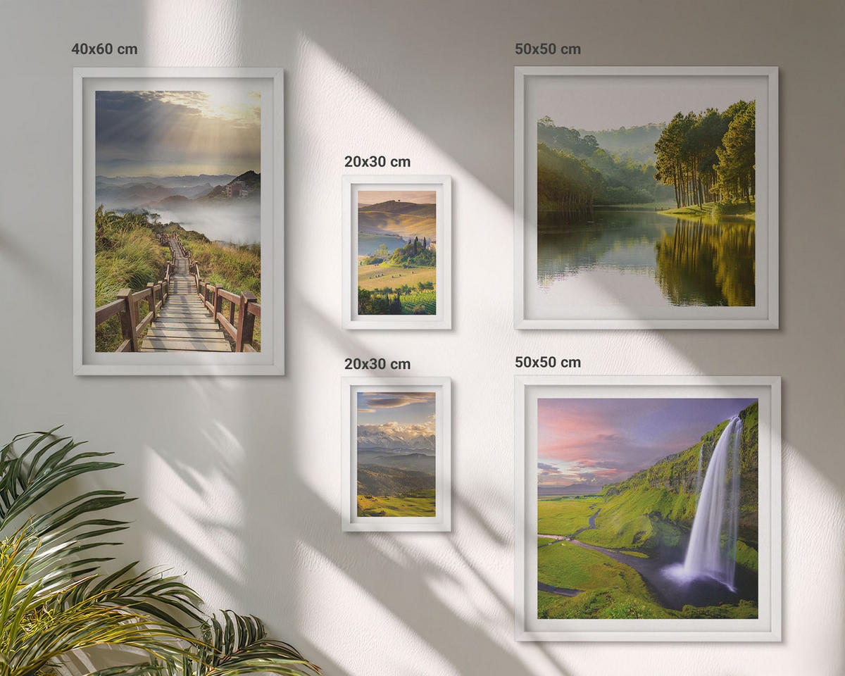 WANDBILDER 5er-Set - 50x50 cm & 20x30 cm & 40x60 cm Weißer Rahmen - Aquarell von grünen tropischen Blättern - Weiß, Kunststoff (40/60cm) - ArtPrintCave