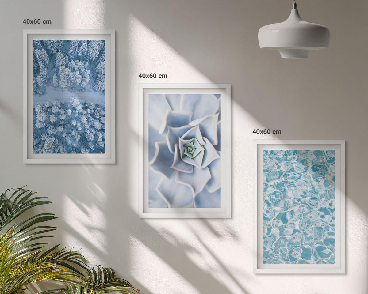 WANDBILDER 3er-Set - 40x60 cm Weißer Rahmen - Winterwald blaue Blume Wasser - Weiß, Kunststoff (40/60cm) - ArtPrintCave