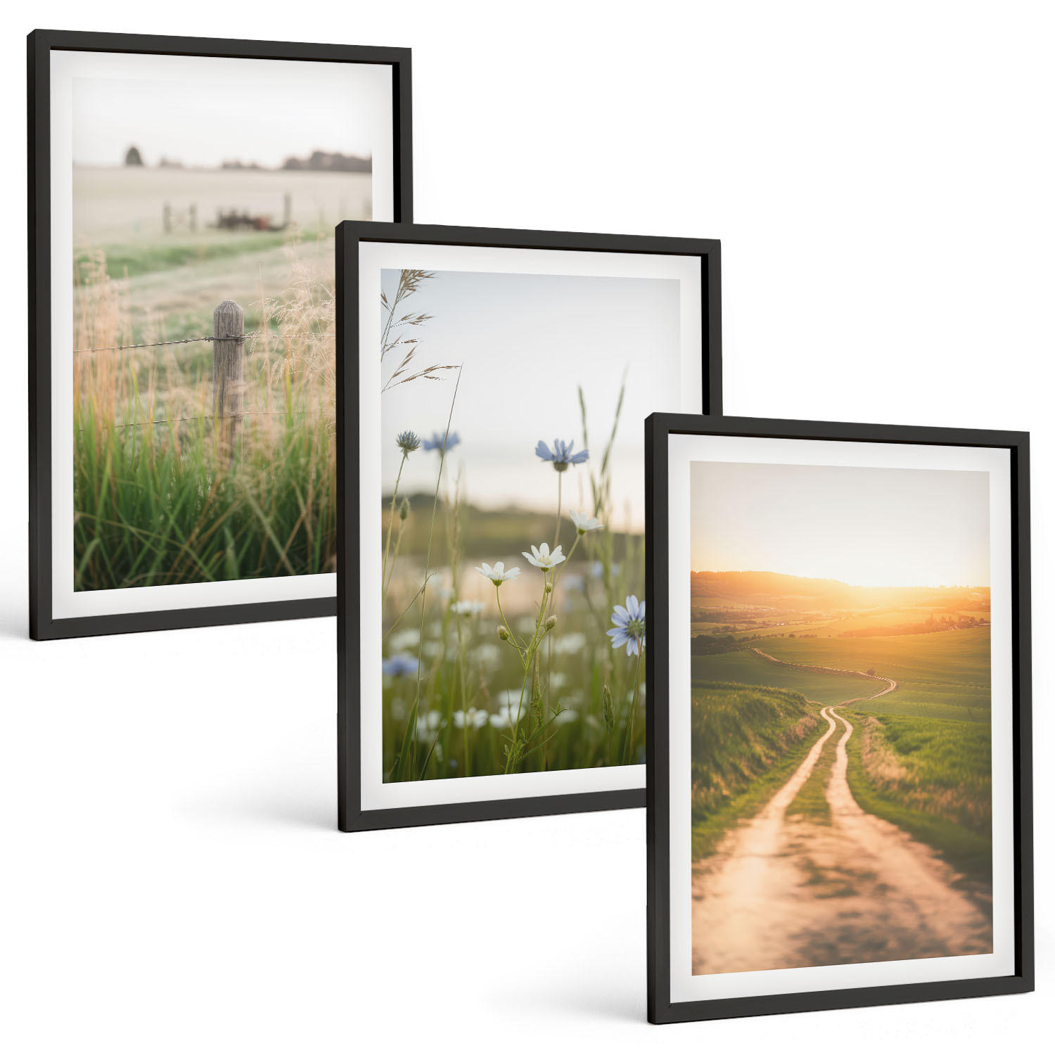 BILDER SET 3er Set - 40x60 cm Schwarzer Rahmen - Landschaften Natur Felder Weg - Schwarz, Kunststoff (40/60cm) - TULUP