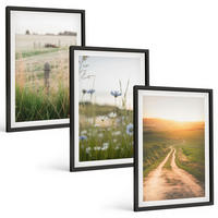 BILDER SET 3er Set - 40x60 cm Schwarzer Rahmen - Landschaften Natur Felder Weg - Schwarz, Kunststoff (40/60cm) - TULUP