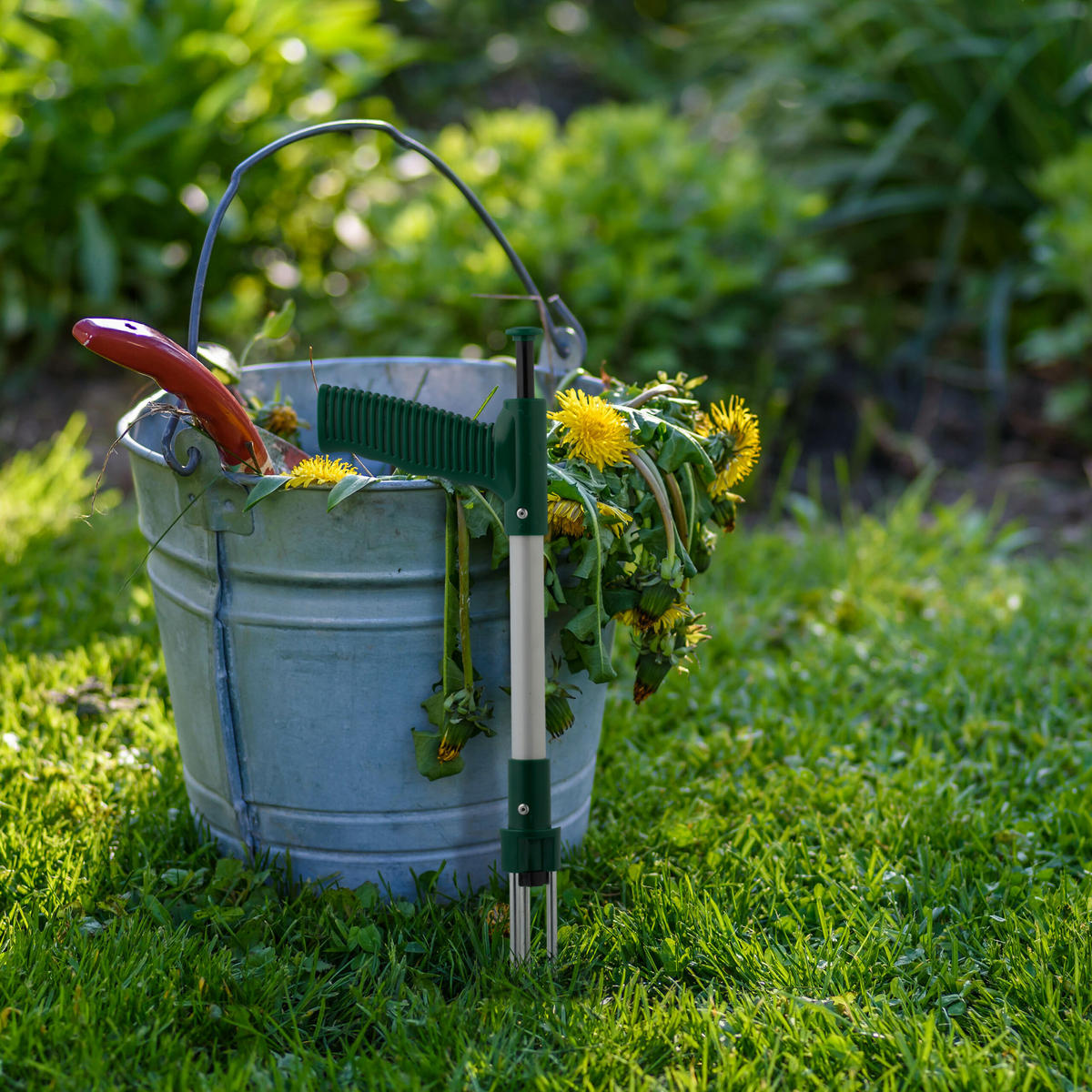 UNKRAUTSTECHER - Multicolor, Kunststoff/Metall (37/13/3.5cm) - Relaxdays