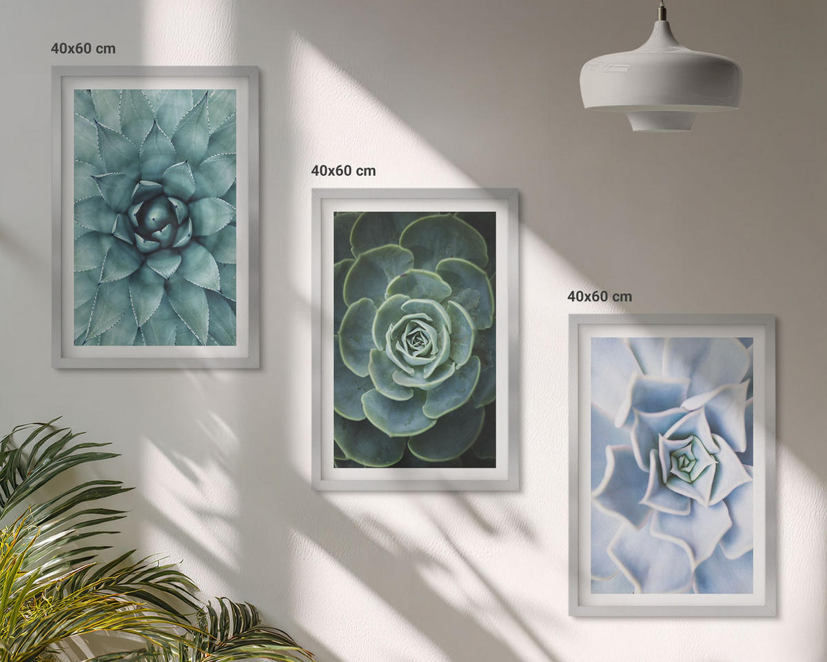 BILDER SET 3er Set - 40x60 cm Silberner Rahmen - Sukkulente Pflanzen grün türkis - Silberfarben, Kunststoff (40/60cm) - TULUP