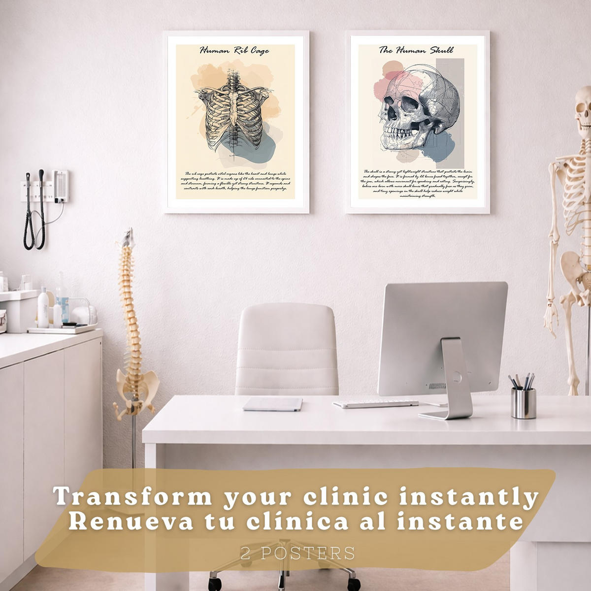 POSTER Set aus 2 Anatomie Mensch Lernposter Drucke und Wandbilder mit Skelett Rippen und Schädel Klinik Büro Dekoration Größe Weißer Rahmen A3 - Weiß, Papier (29.7/42/3cm) - Nacnic