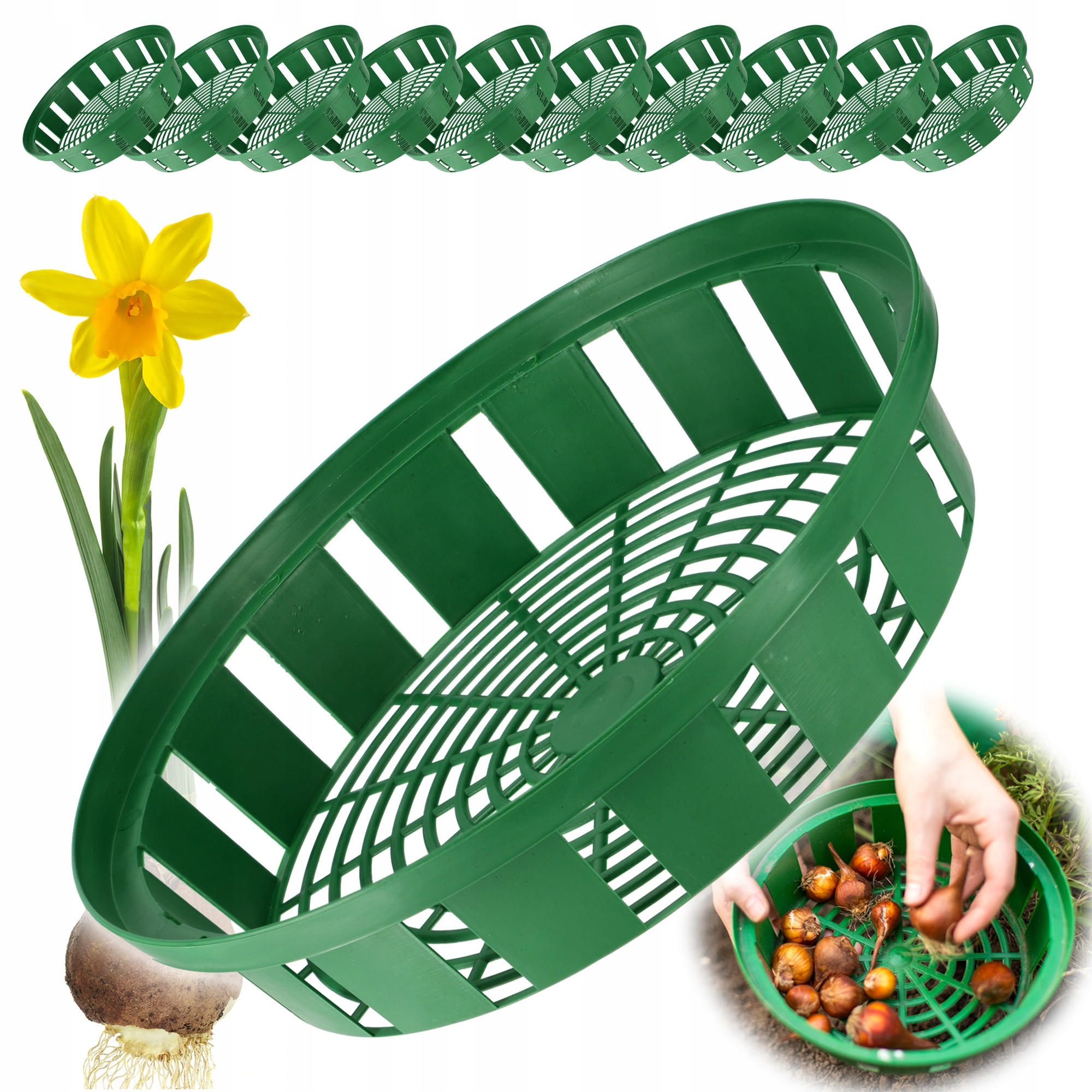 BLUMENZWIEBELKORB 30 cm, 10 Stk. - Grün, Kunststoff - KADAX