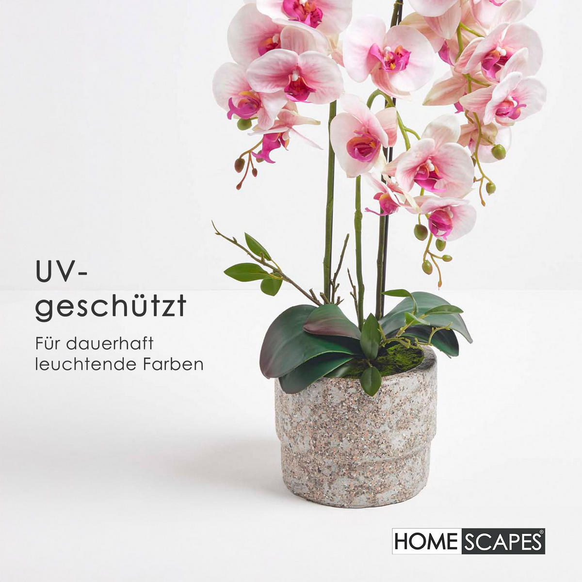 KUNSTBLUME Orchidee pink-weiß im Deko-Topf, 64 cm - Weiß, Kunststoff (64cm) - Homescapes