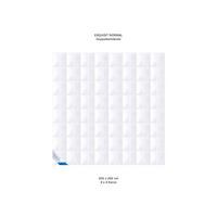 GANZJAHRESBETTDECKE EXQUISIT Gänsedaunen medium - Weiß, Naturmaterialien/Textil (200/200cm) - Böhmerwald