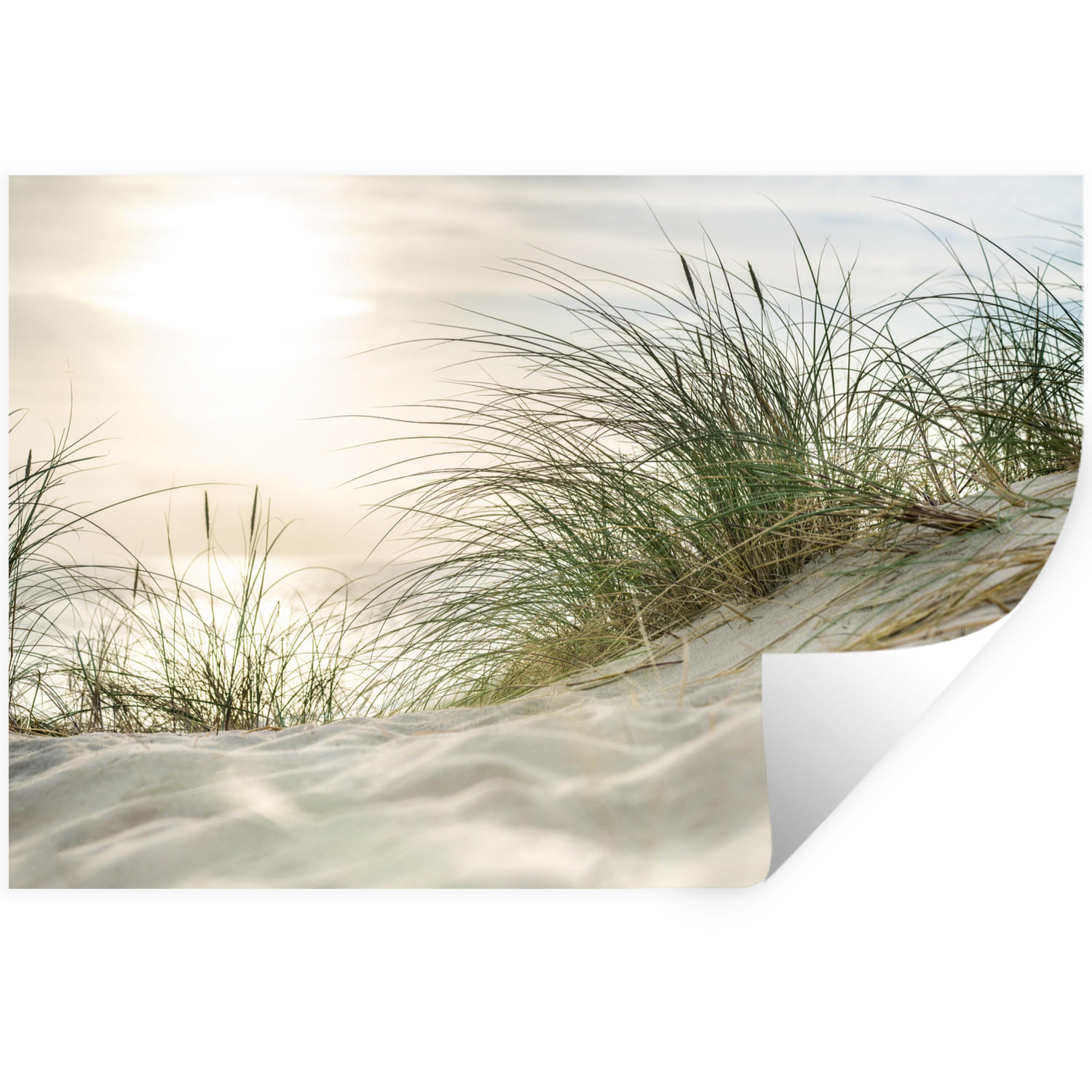 WANDTATTOO Dünen - Strand - Schlewswig-Holstein - Wattenmeer 120x80 cm - Creme, Kunststoff (120/80/0.1cm) - MuchoWow