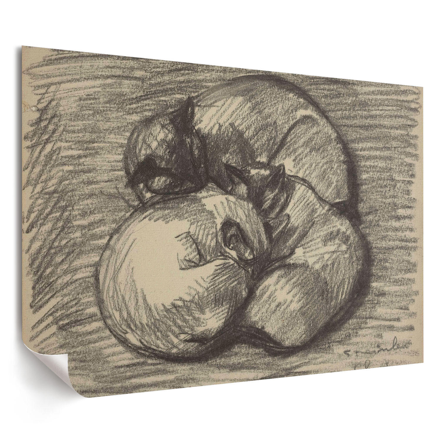 POSTER - 59x42 cm (A2) - Théophile Steinlen - Katzen - Schwarz, Textil (59.4/42/0.1cm) - TULUP