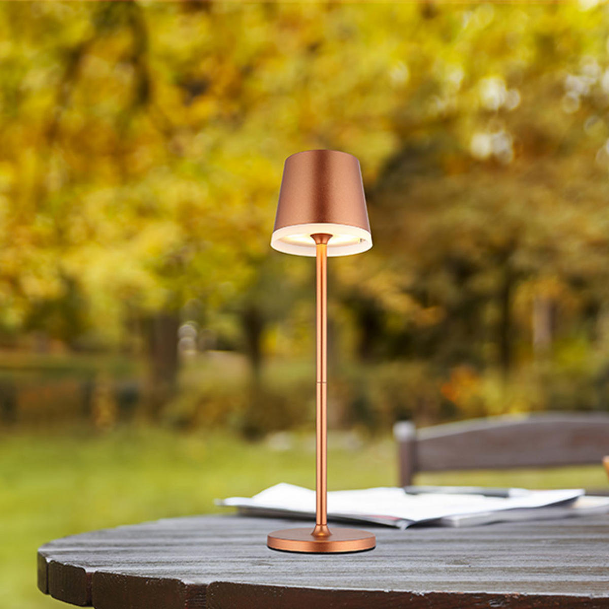 LED AUSSENLEUCHTE Solar Champagner satiniert - Champagner, Metall (11/11/41cm) - Globo Lighting