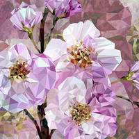 FOTOTAPETE Kirschblüten 368 x 248 cm - Pink, Papier (368/248cm) - Sanders & Sanders