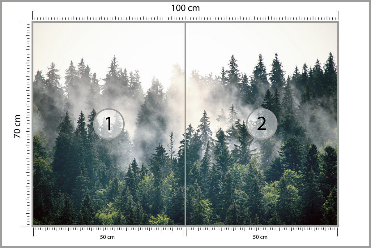 FOTOTAPETA Pre Obývaciu Izbu Hmlový Ihličnatý Les Hora Mystika Stromy 100 x 70 cm - biela/zelená, papier (100/70cm) - Muralo
