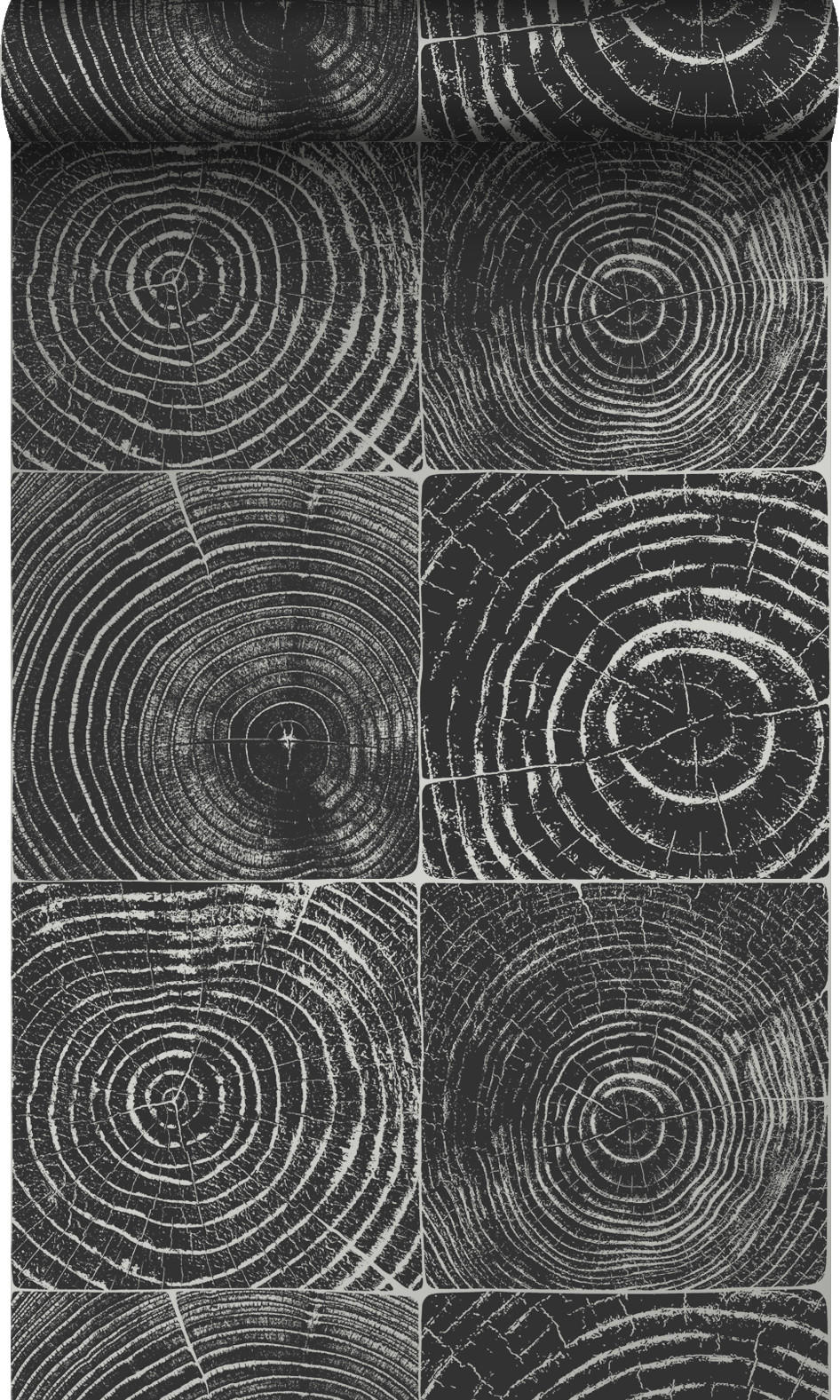 TAPETE Querschnitte von Baumstämmen 53 cm x 10.05 m - Schwarz, Papier (53/1000cm) - Origin Wallcoverings