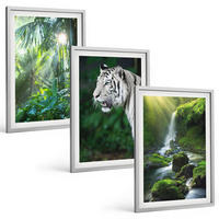 BILDER SET 3er Set - 40x60 cm Silberner Rahmen - Dschungeltigerwasserfall - Silberfarben, Kunststoff (40/60cm) - TULUP