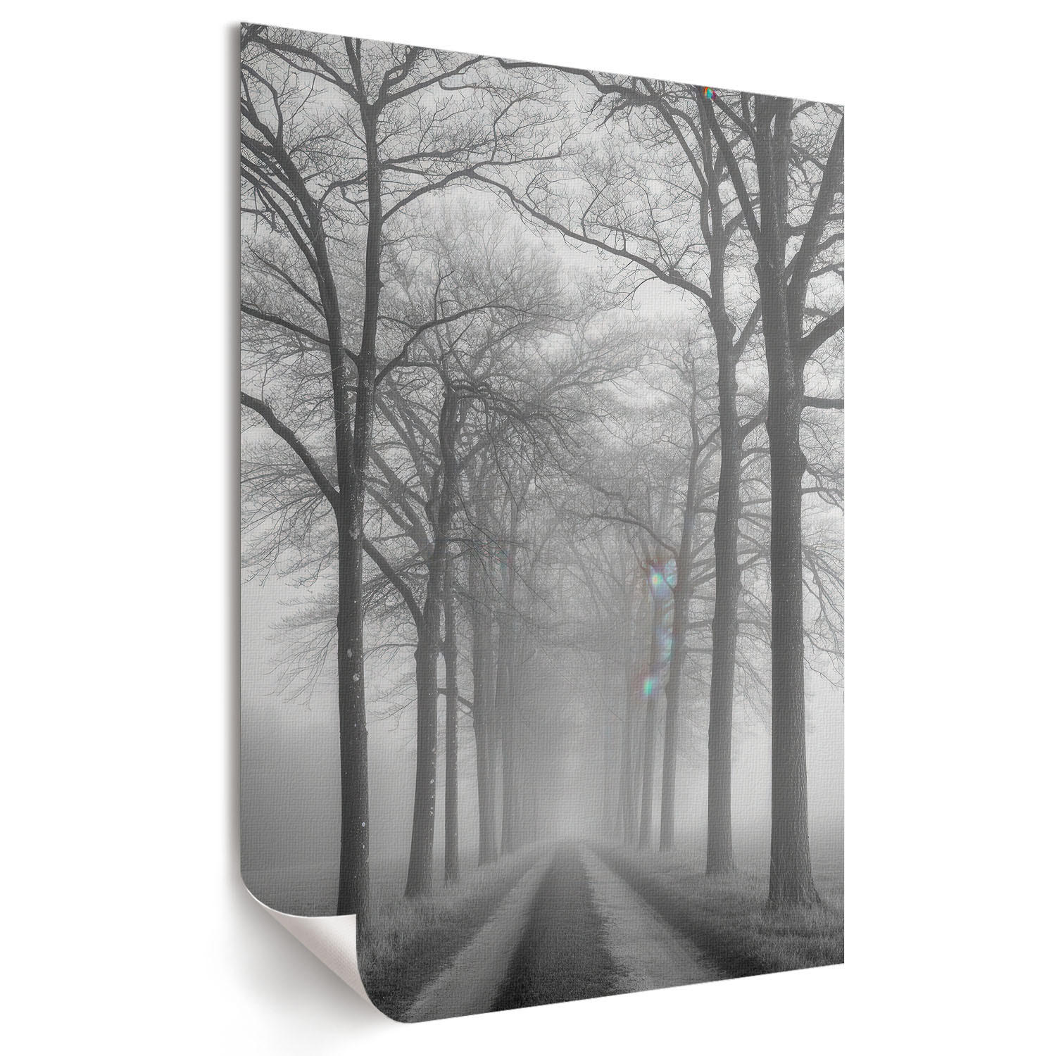 POSTER - 29x42 cm - Nevara - Nebel auf der Straße - Schwarz, Textil (29/42/0.1cm) - TULUP