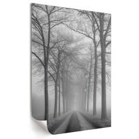 POSTER - 29x42 cm - Nevara - Nebel auf der Straße - Schwarz, Textil (29/42/0.1cm) - TULUP