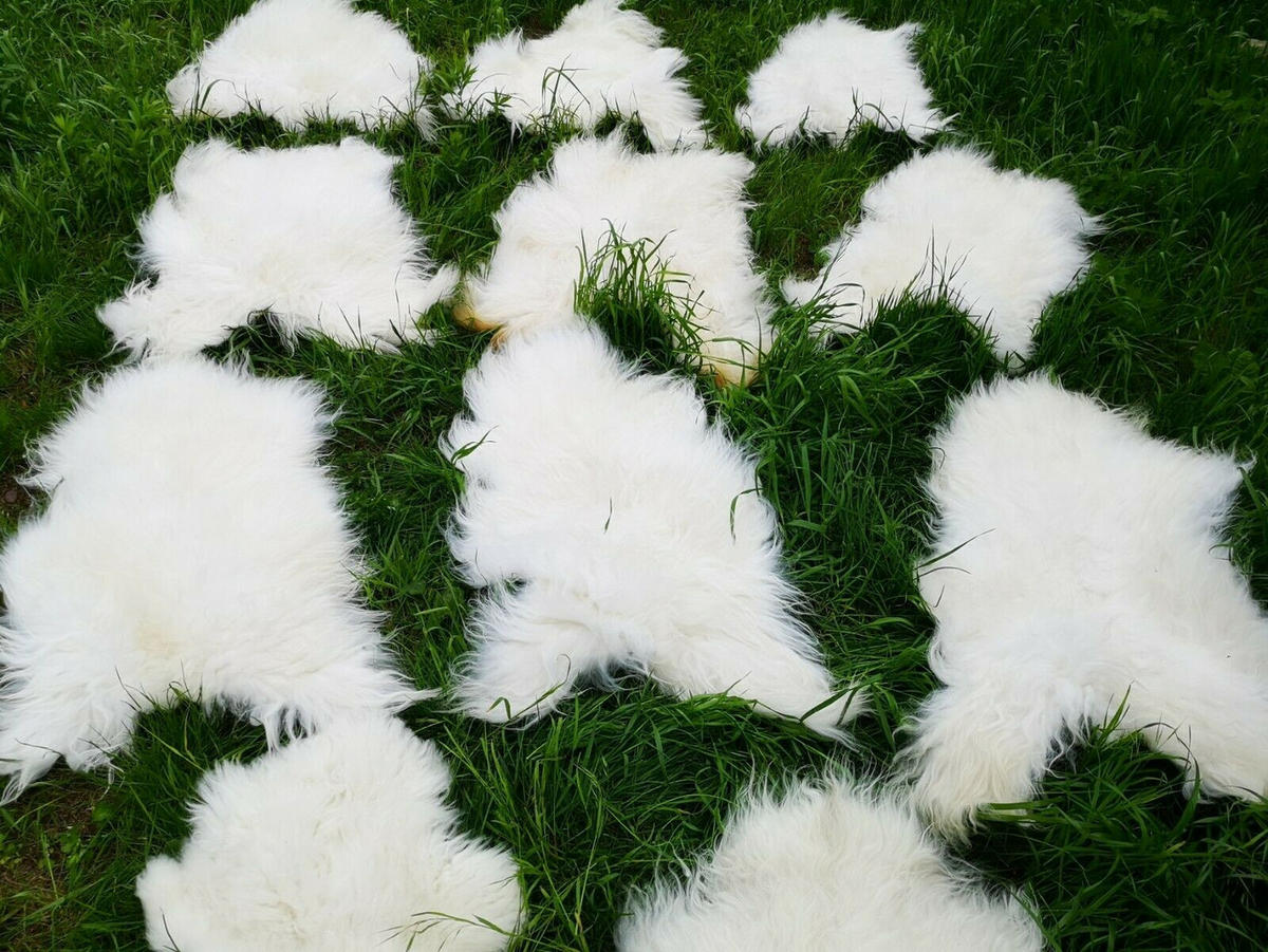 FELL Schaffell Island weiß ca. 100 cm - Weiß, Fell (60/100cm) - Provellus