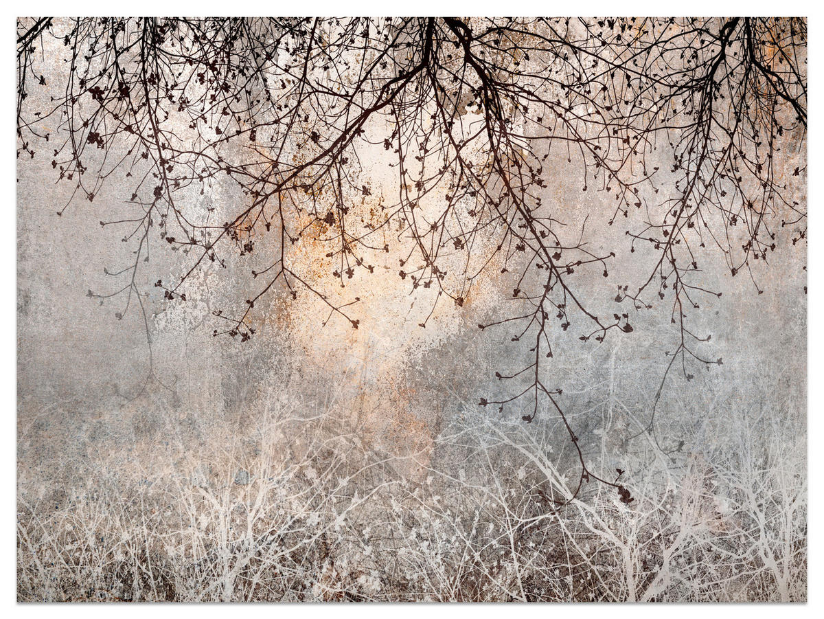 FOTOTAPETA Vetvy Betón Rastliny Abstrakcia 400 x 280 cm - oranžová/hnedá, papier (400/280cm) - Muralo