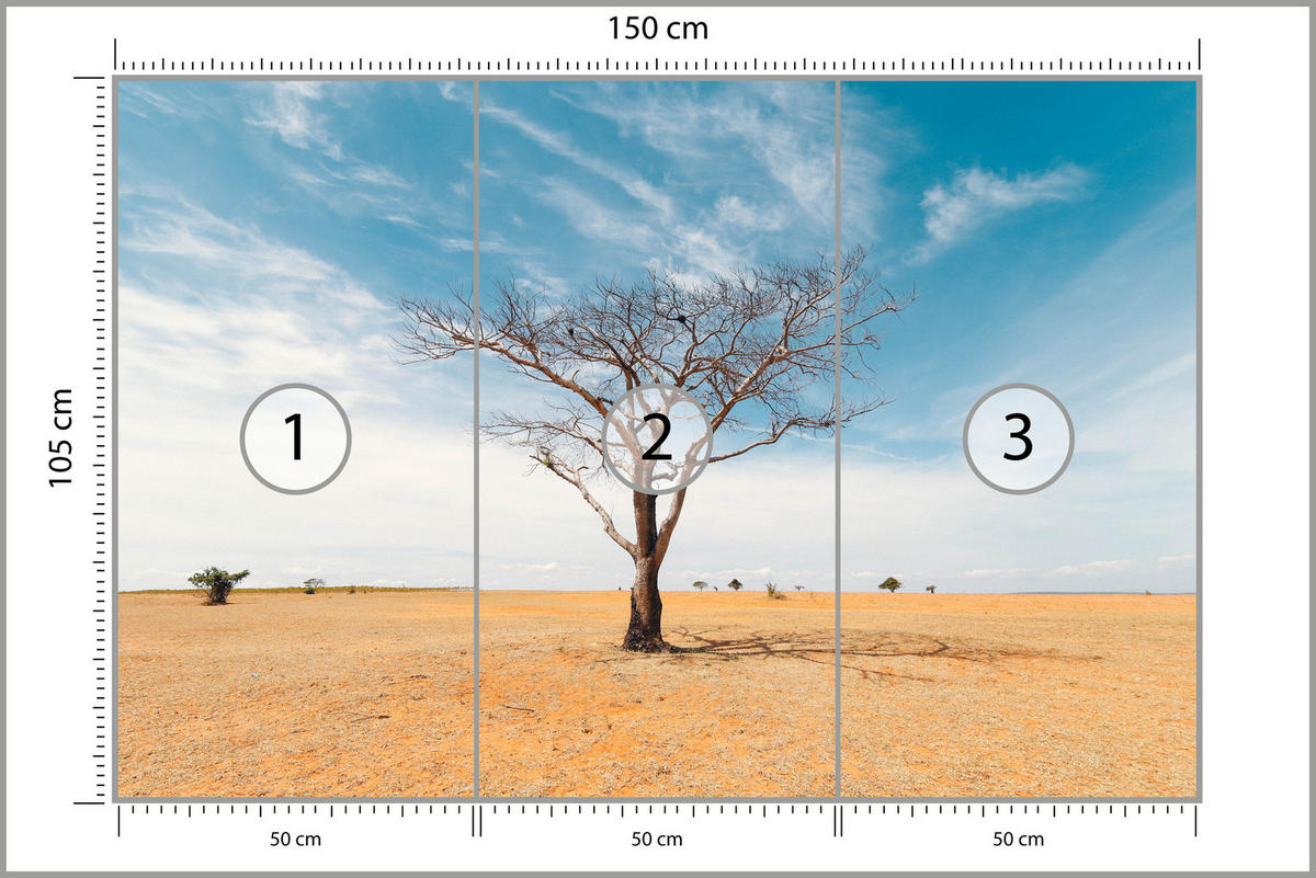 FOTOTAPETE für Wohnzimmer Trockener Baum Wüste Sand 150x105 - Beige/Orange, Papier (150/105cm) - Muralo