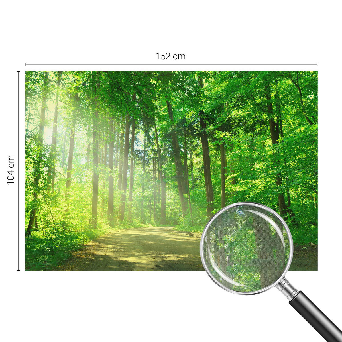 FOTOTAPETE 152x104 cm - Waldweg - Grün, Textil (152/104cm) - Wallfluent