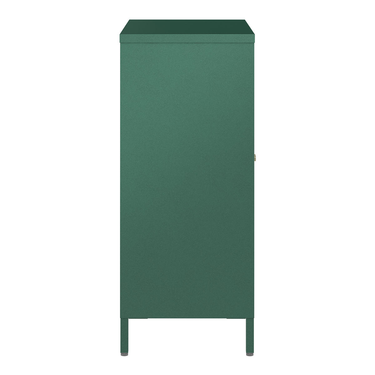 VITRINE Säkylä - Dunkelgrün/Transparent, Glas/Metall (64/84/35cm) - [en.casa]