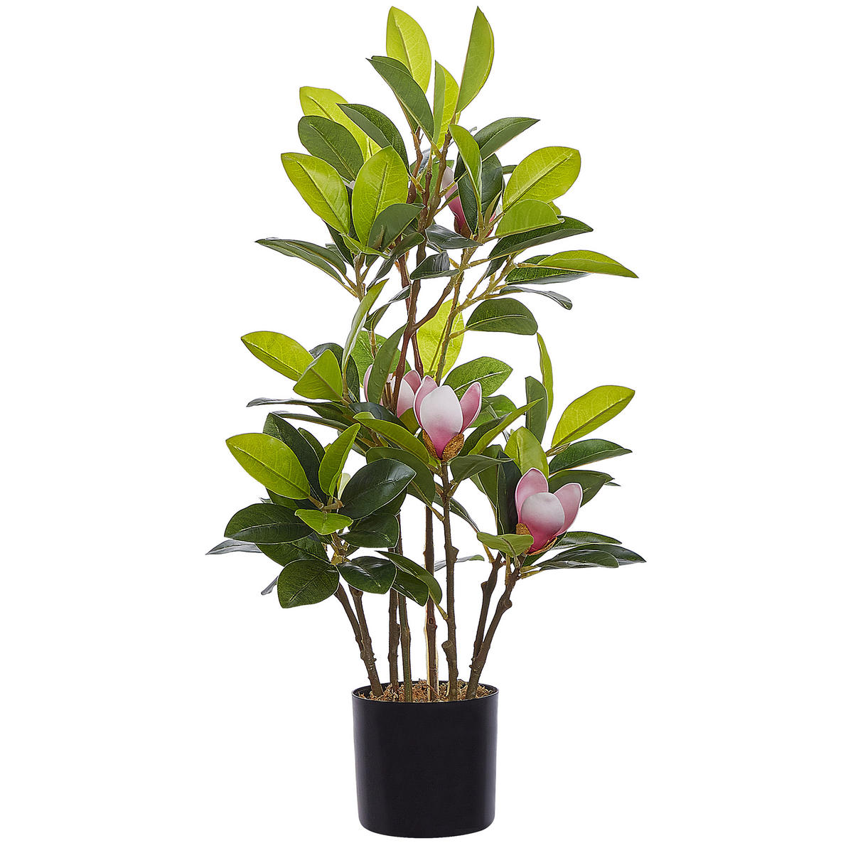 KUNSTPFLANZE im Blumentopf 70 cm Grün/Schwarz Magnolia - Schwarz/Grün, Kunststoff (70cm) - Beliani