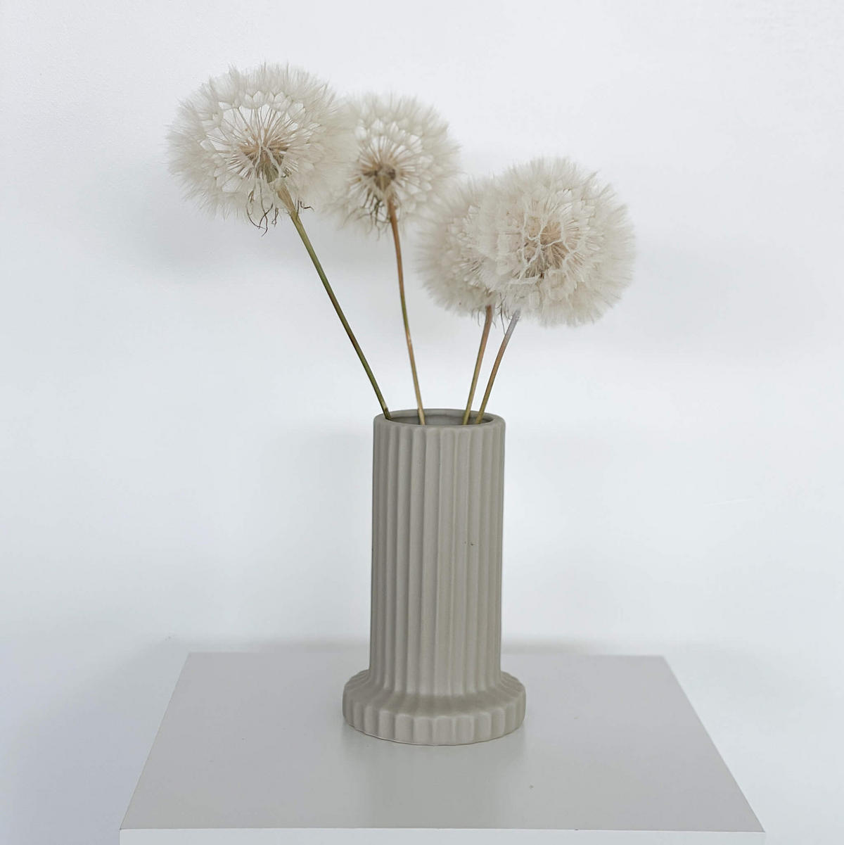 PUSTEBLUME getrocknet einzeln - weiß - Weiß, Naturmaterialien (30cm) - Lykke & You