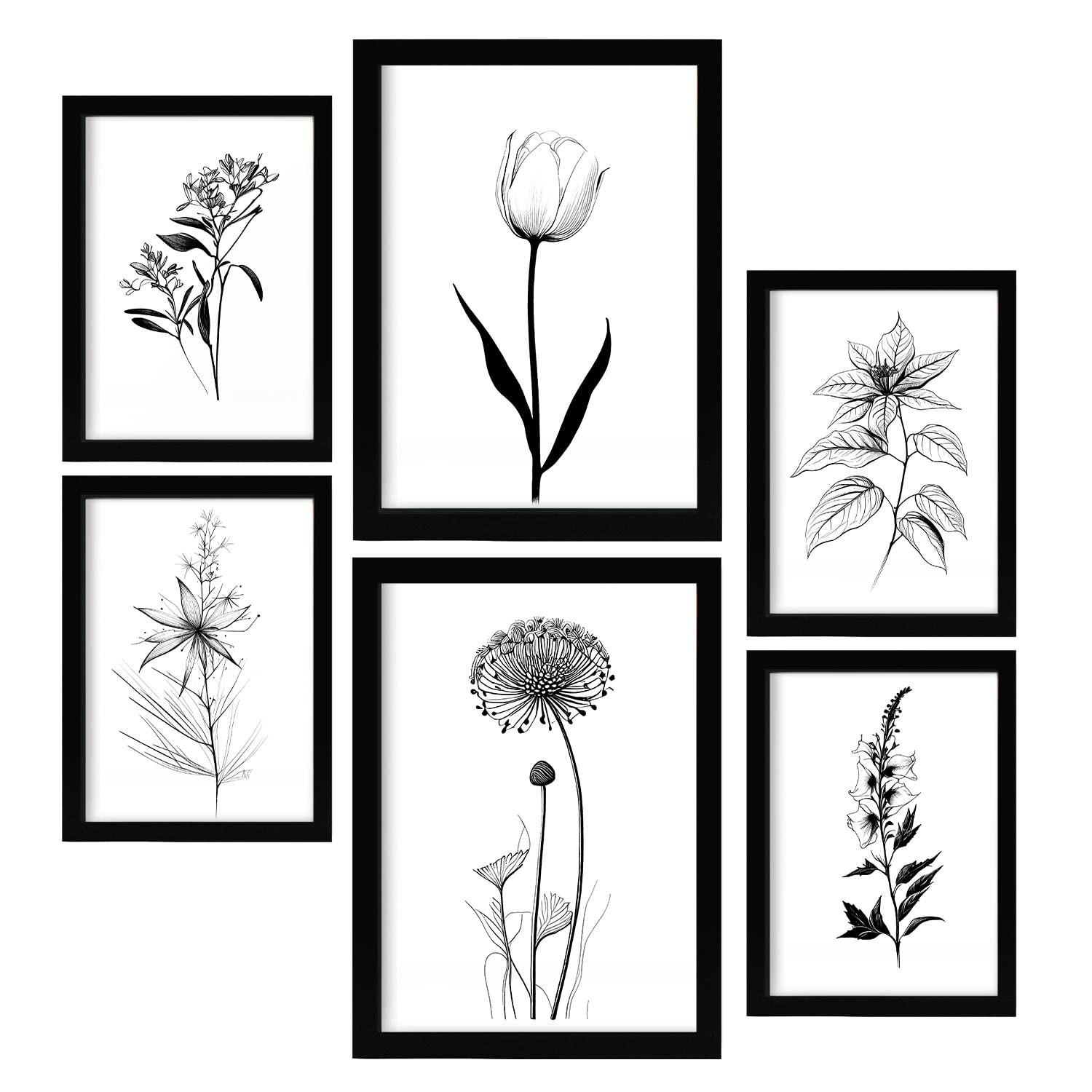 POSTER Set Mit 6 Kleine Blumen Blumenmotiven In Klassischem Schwarz Und Weiß A3 & A4 Rahmenlos - Klar, Papier (29/3cm) - Nacnic