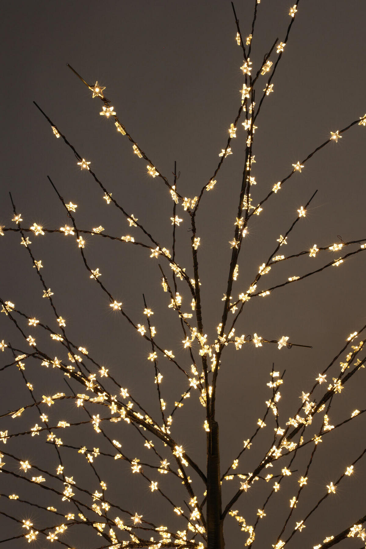 LICHTDEKORATION Weihnachtsbaum 150 cm - Schwarz, Metall (18/150/18cm) - Home Styling Collection