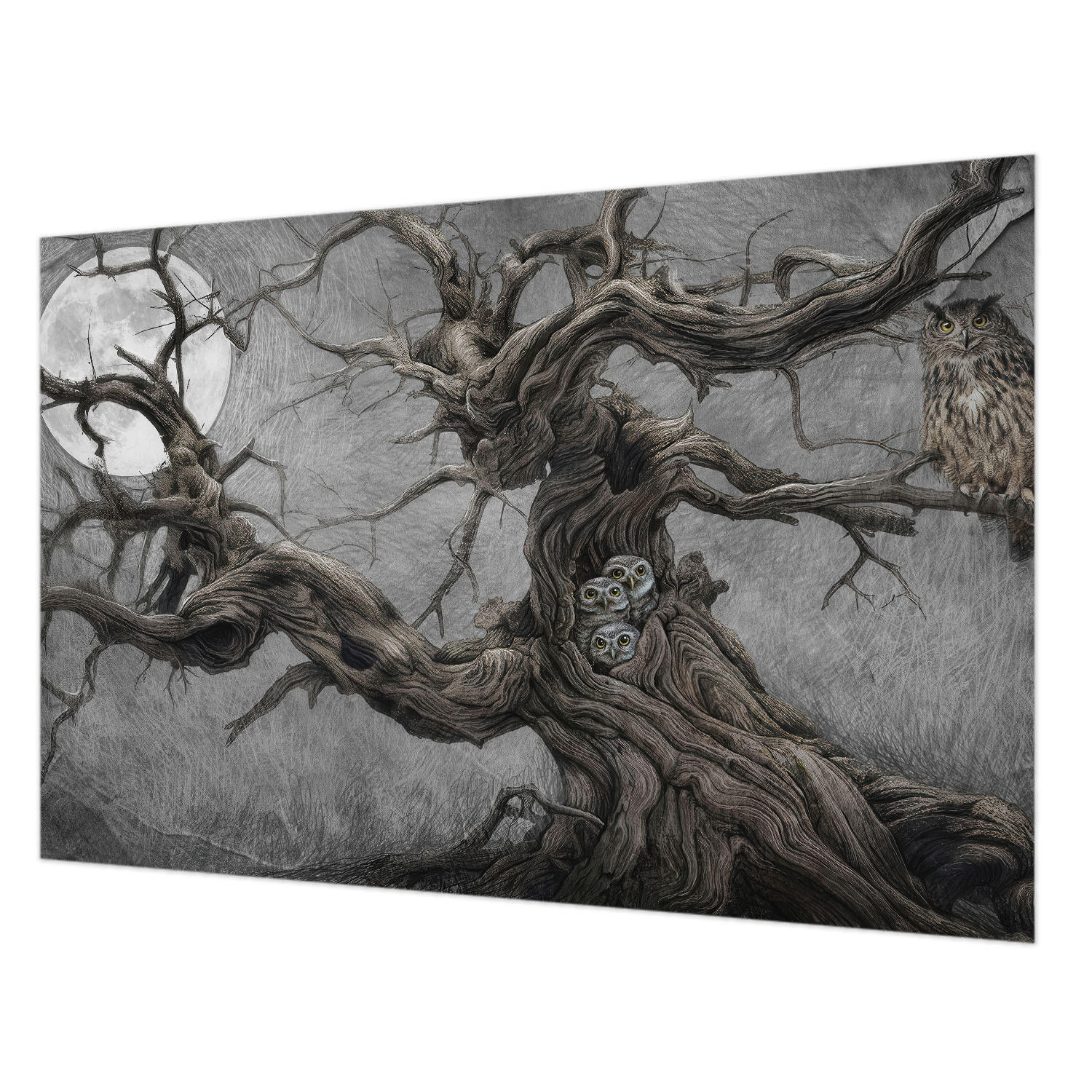 FOTOTAPETE 104x70 cm - Geheimnisvolle Eule - Grau, Textil (104/70cm) - Wallfluent