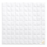 GANZJAHRESBETTDECKE MARIE Entendaunen medium - Weiß, Naturmaterialien/Textil (240/220cm) - Goldmarie 