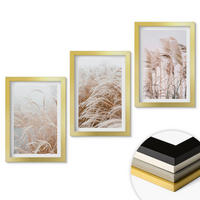 WANDBILDER 3er Set - 20x30 cm Goldrahmen - Grasflächen in Braun- und Beigetönen - Goldfarben, Kunststoff (20/30cm) - ArtPrintCave