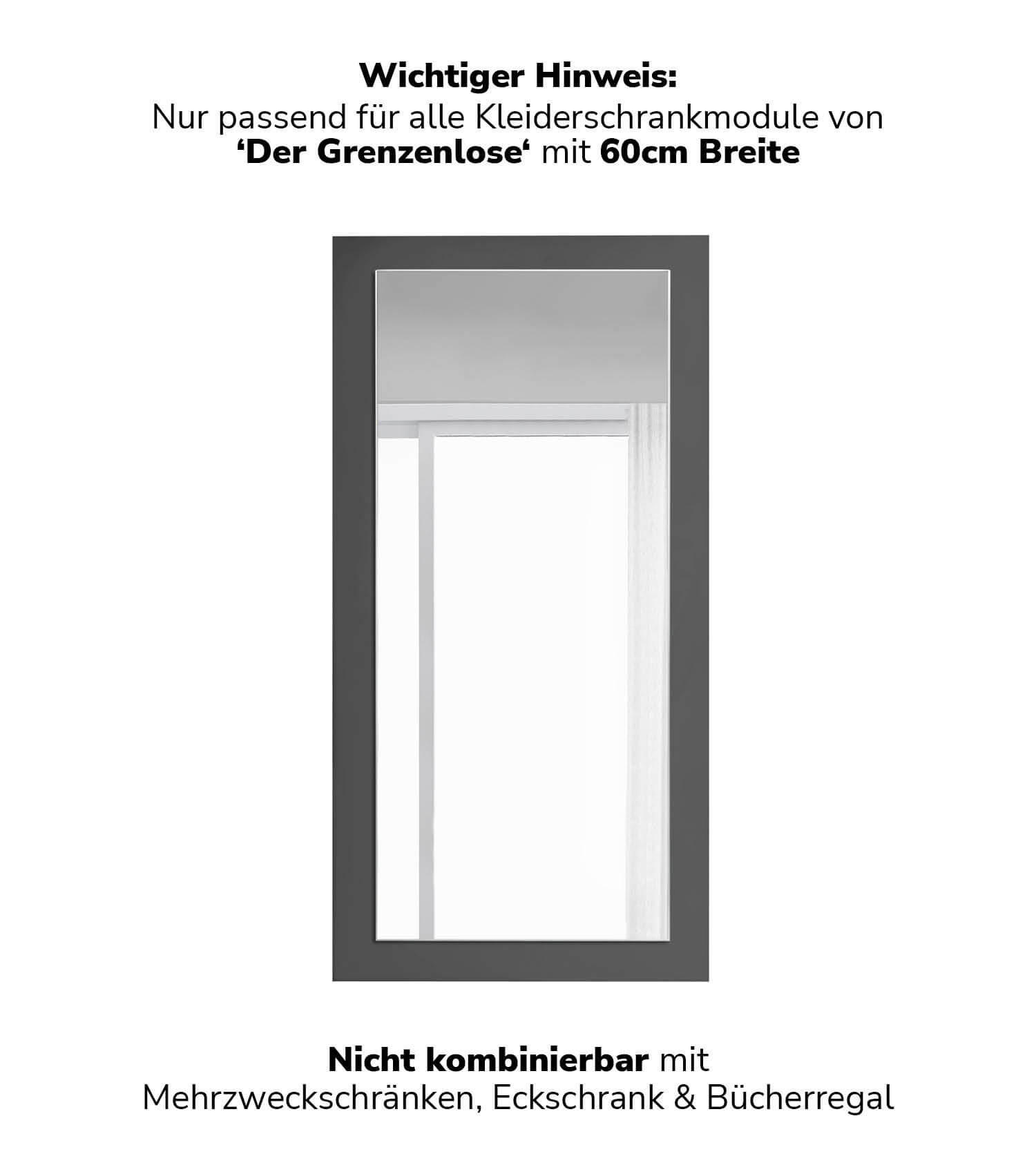 SCHRANKTÜR mit Spiegel Die Verspiegelte - Anthrazit, Holzwerkstoff (56/112/1.5cm) - Mokebo