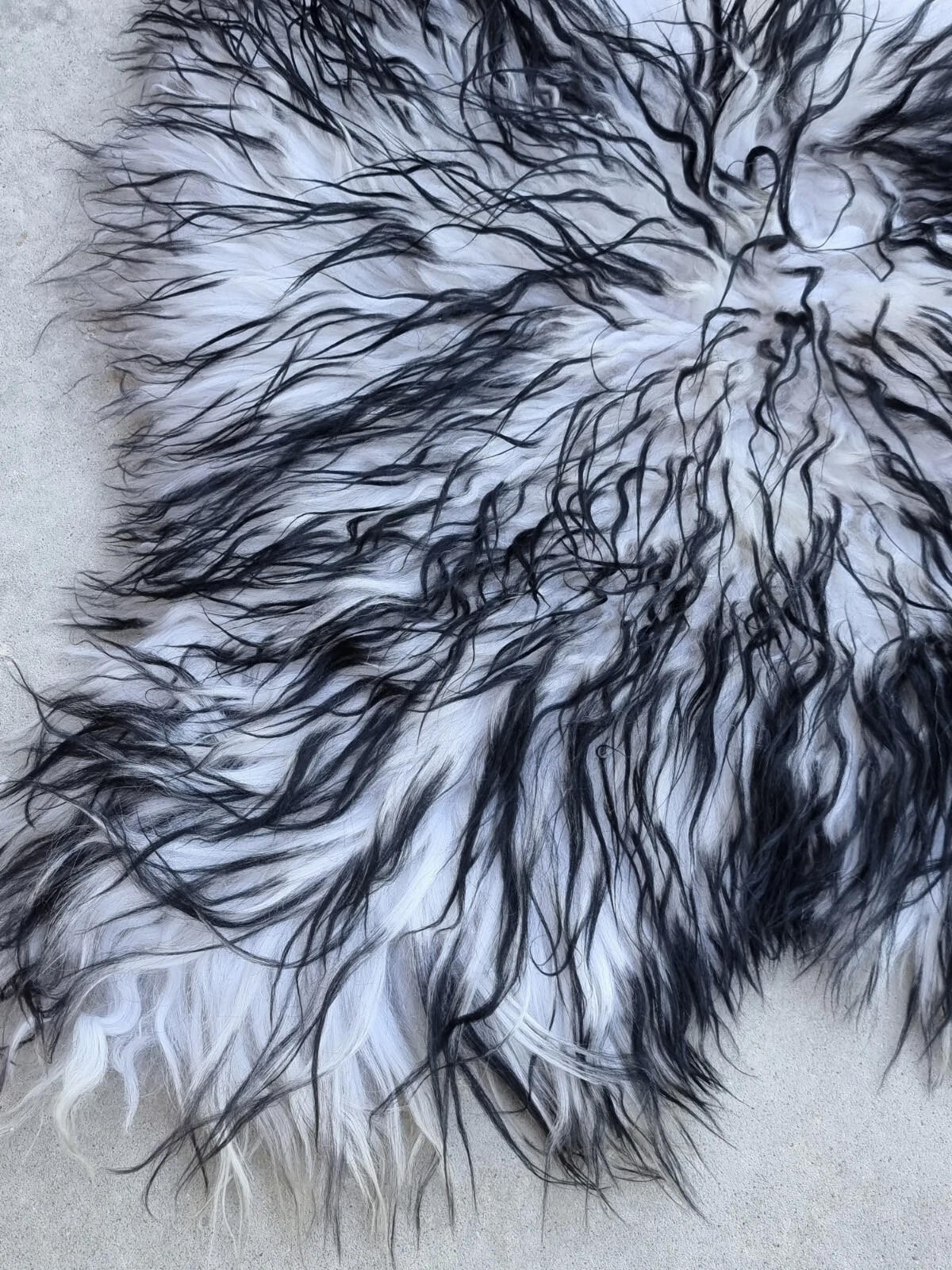 LAMMFELL Island Langhaar natur lockig weich Premium Schwarz geflammt ca. 105 cm - Schwarz Hochglanz, Fell (55/105cm) - Provellus