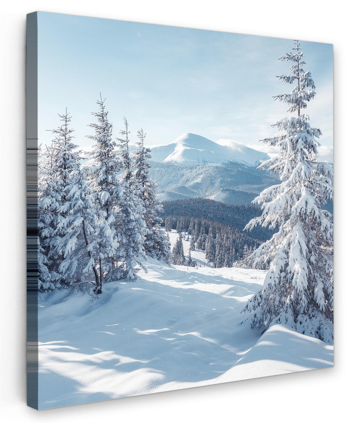 LEINWANDBILD Winterlandschaft - Natur - Berge - Bäume - Schnee 50x50 cm - Hellblau, Textil (50/50cm) - MuchoWow