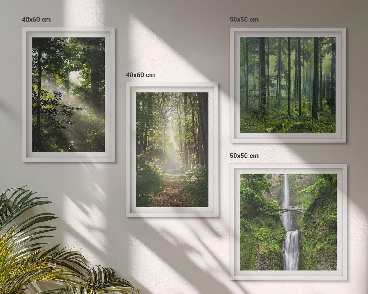 WANDBILDER 4er-Set - 50x50 cm & 40x60 cm Weißer Rahmen - Grüne Wälder, Lichtstrahlen - Weiß, Kunststoff (50/50cm) - ArtPrintCave