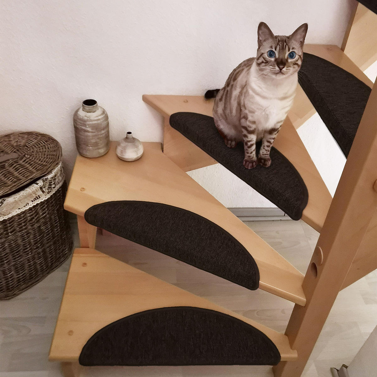 STUFENMATTE ProStair 56/20 cm Dunkelbraun 15tlg - Dunkelbraun, Textil (56/20/1cm) - Beautissu 