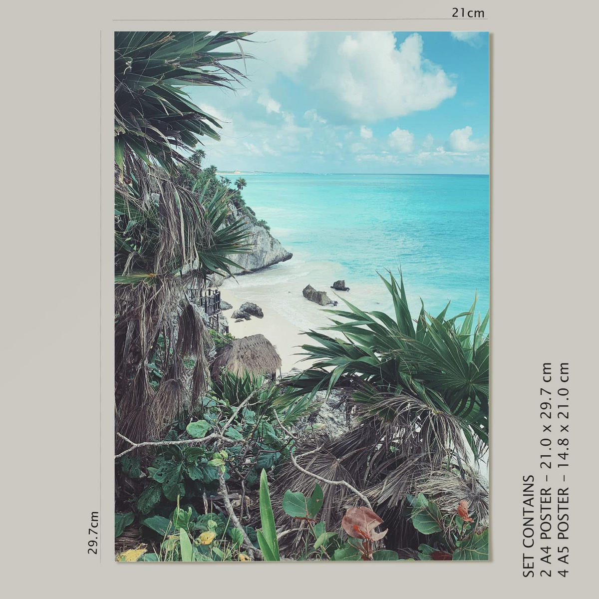 POSTER Set Mit 6 Leben In Voller Farbe A3 & A4 Rahmenlos - Klar, Papier (29/3cm) - Nacnic