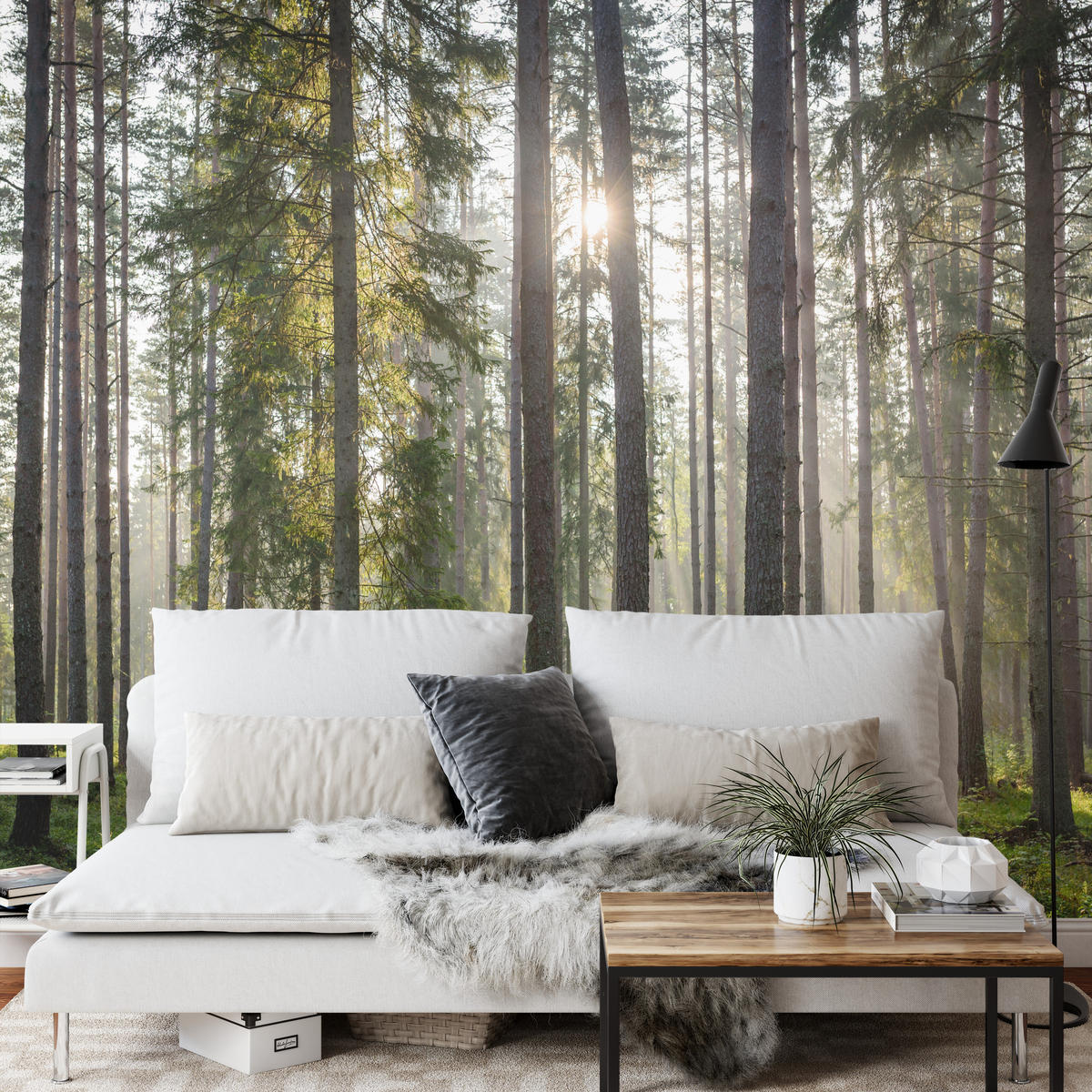 FOTOTAPETA Pre Obývaciu Izbu LES Východ Slnka Mach Stromy Zelená 150 x 105 cm - hnedá/sivá, papier (150/105cm) - Muralo