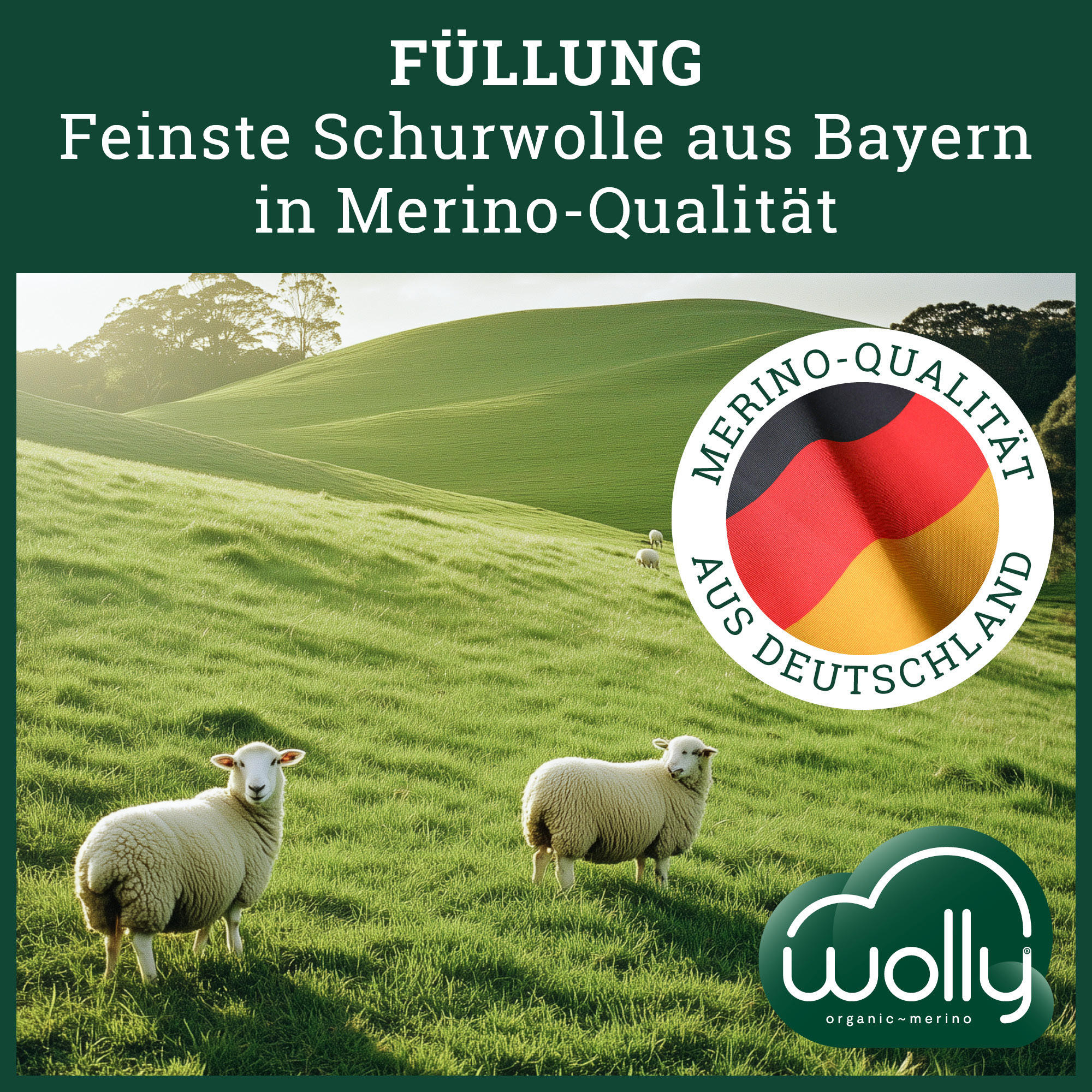 KOPFKISSEN MERINOWOLLE Schurwolle medium - Weiß, Naturmaterialien/Textil (70/90cm) - wolly